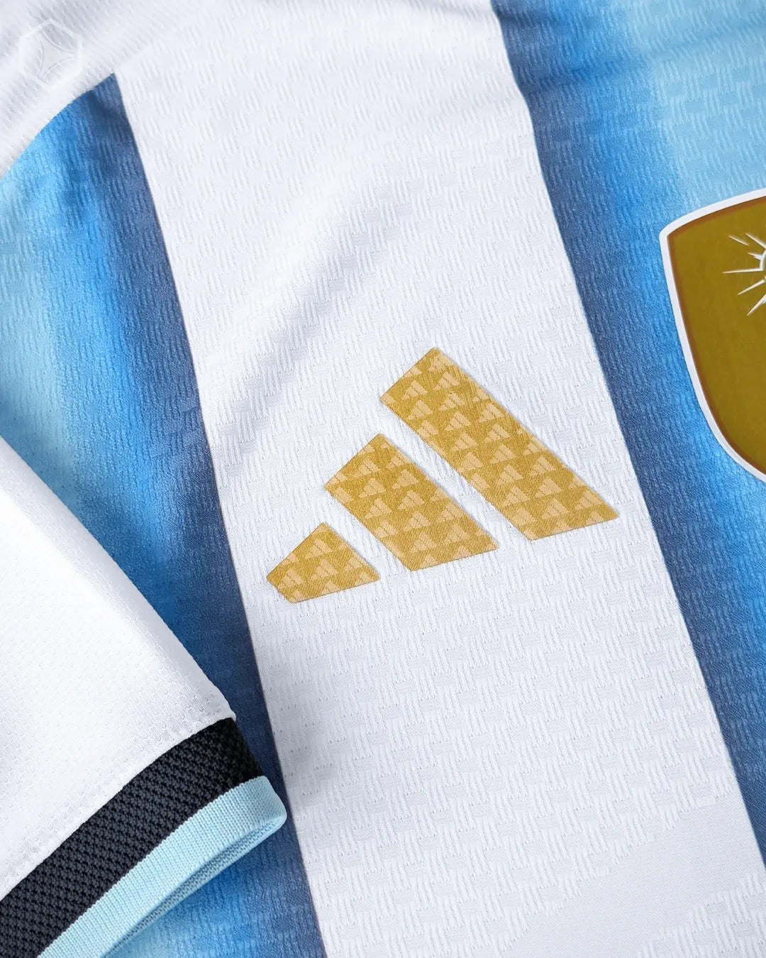 ARGENTINA WORLD CUP 2026 (Player edition)